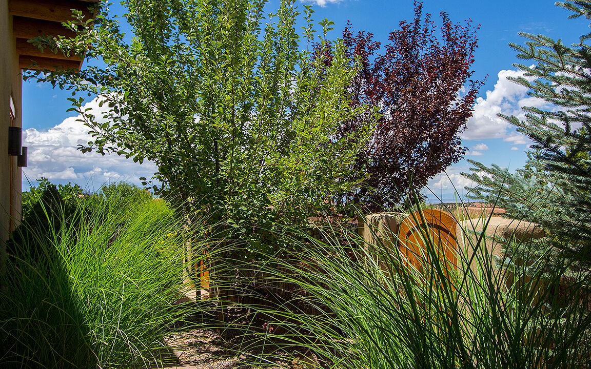 Photo of Outdoor in Tesuque
