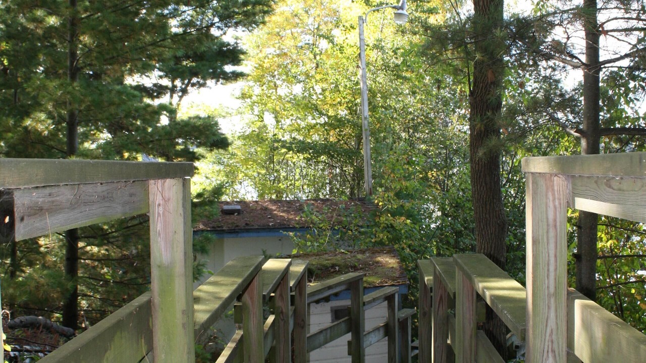 Photo of Others in Birchwood