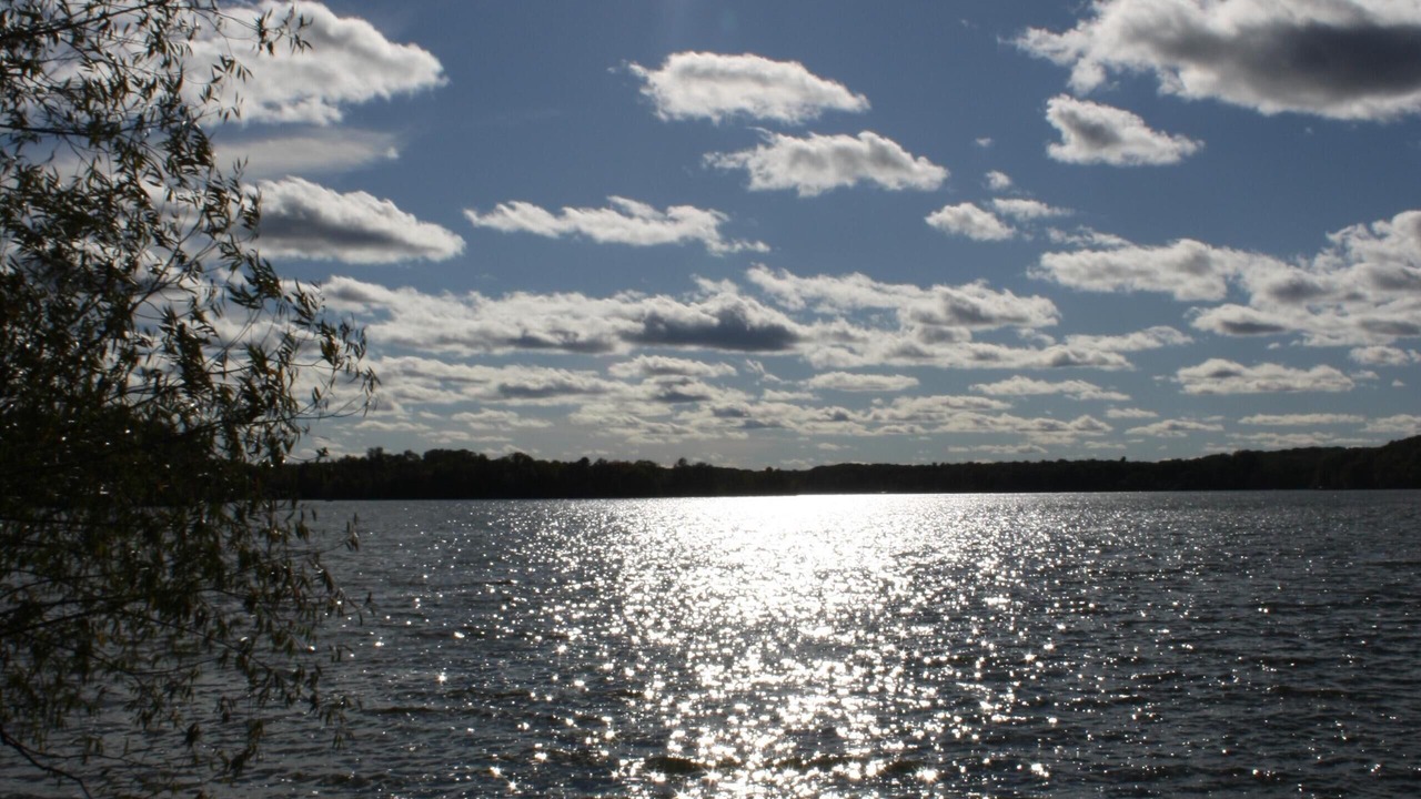 Photo of Others in Birchwood