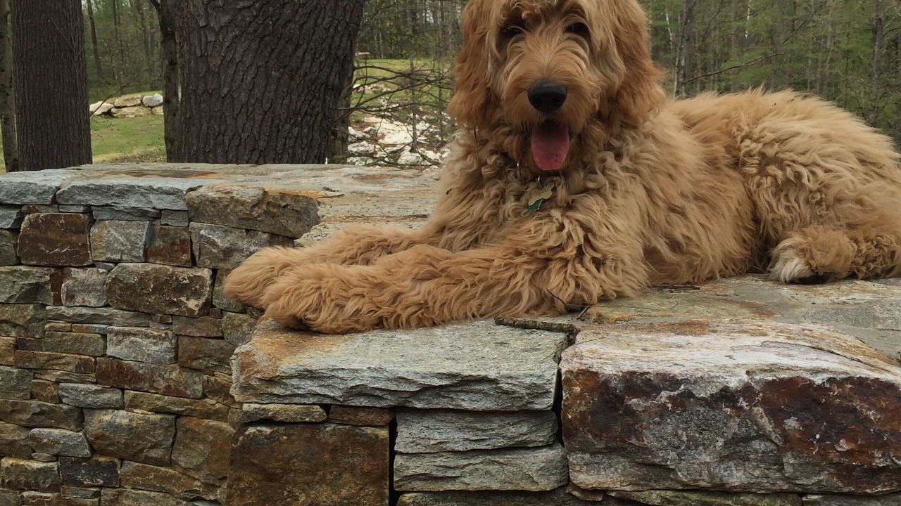 Photo of Outdoor in Lanesborough