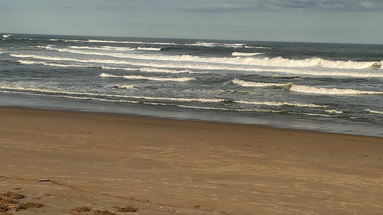 Photo of Others in Seabrook