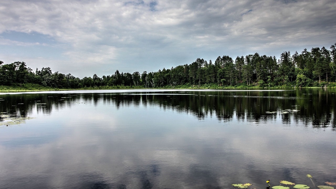 Photo of Outdoor in Lake Shore