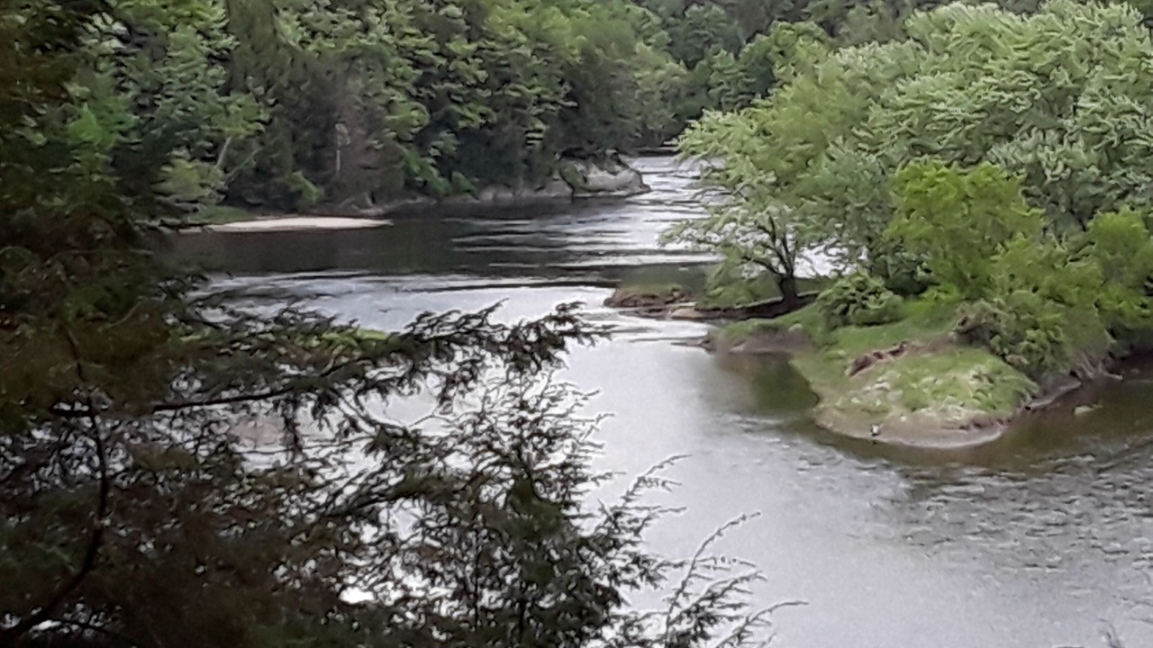 Photo of Others in Wells River