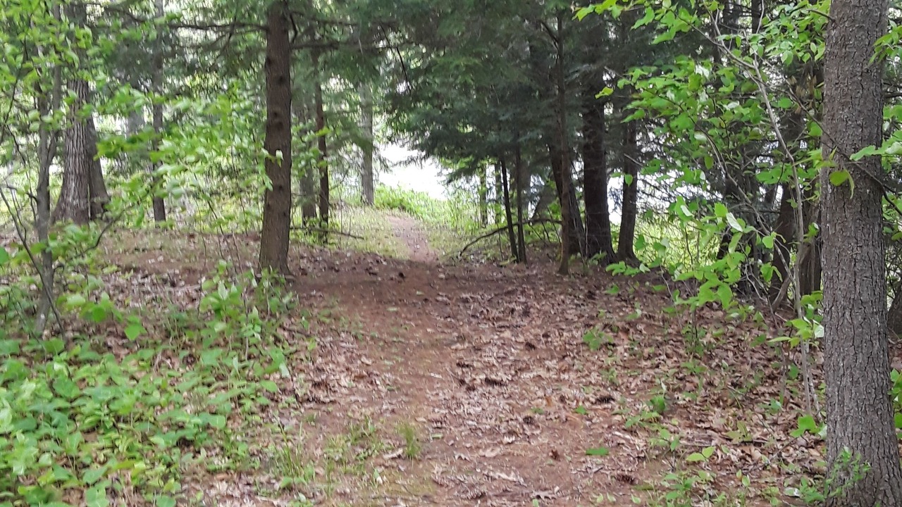 Photo of Others in Wells River