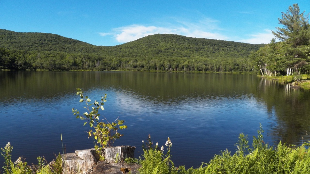 Photo of Others in Windham
