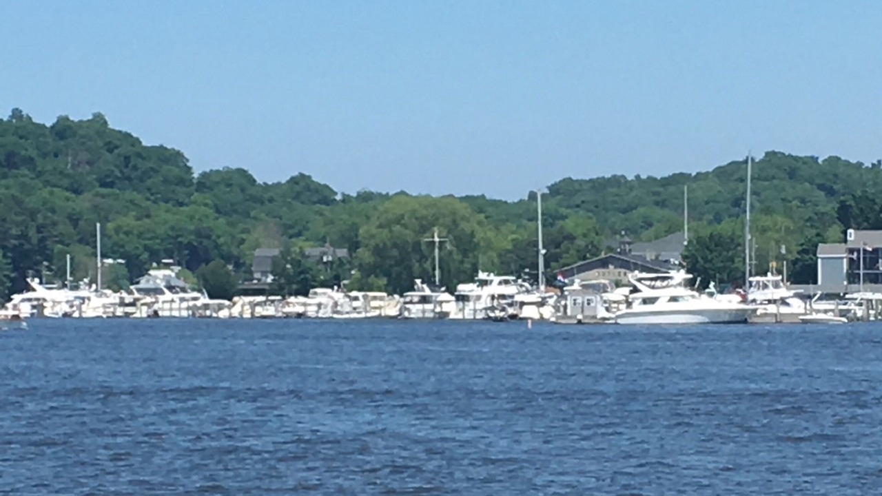 Photo of Others in Saugatuck