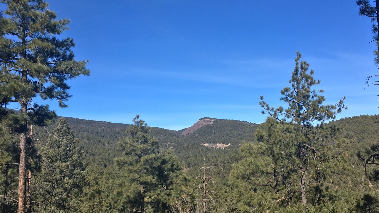 Photo of Others in Sandia Park Country Club