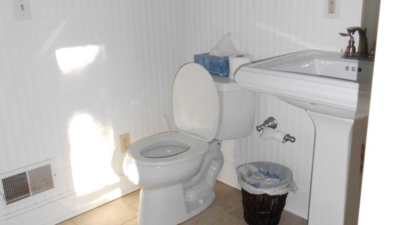 Photo of Bathroom in Grand Isle