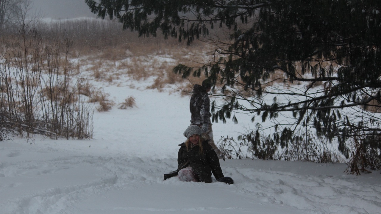Photo of Others in Wyatt