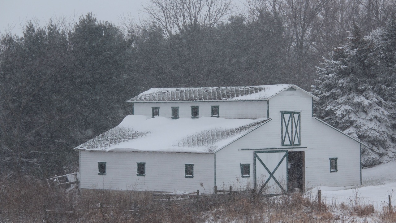 Photo of Outdoor in Wyatt