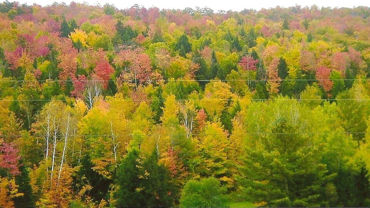Photo of Others in Eden Mills