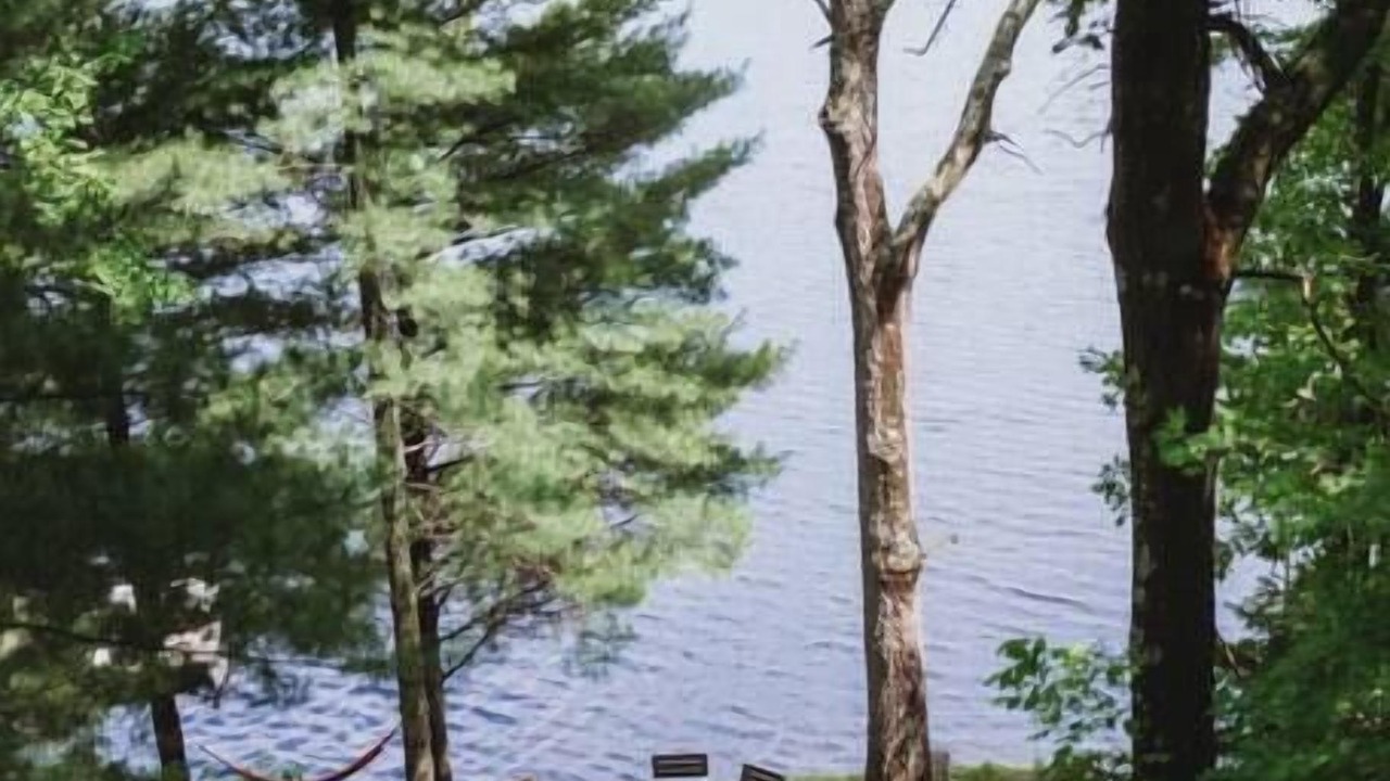 Photo of Others in Comstock