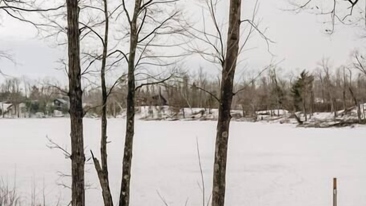 Photo of Others in Comstock