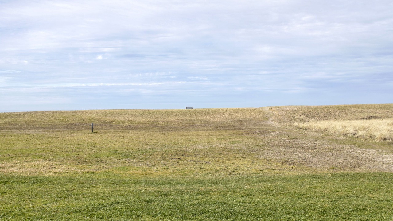 Photo of Others in Gearhart