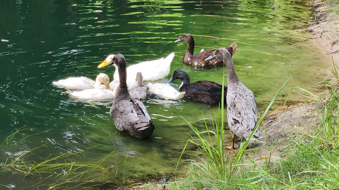 Photo of Others in Norton Shores