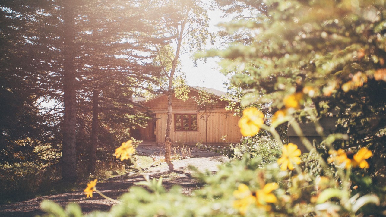 Photo of Outdoor in Lutsen