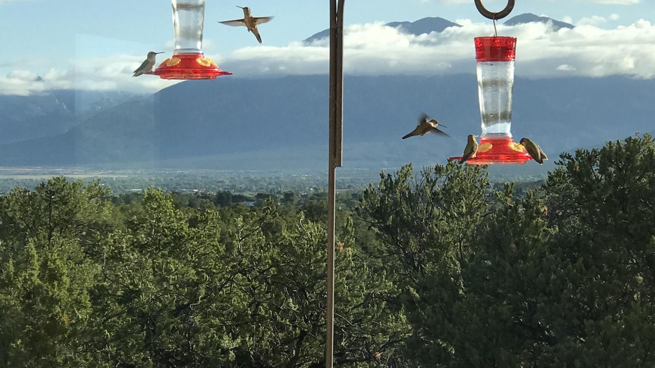 Photo of Others in Taos
