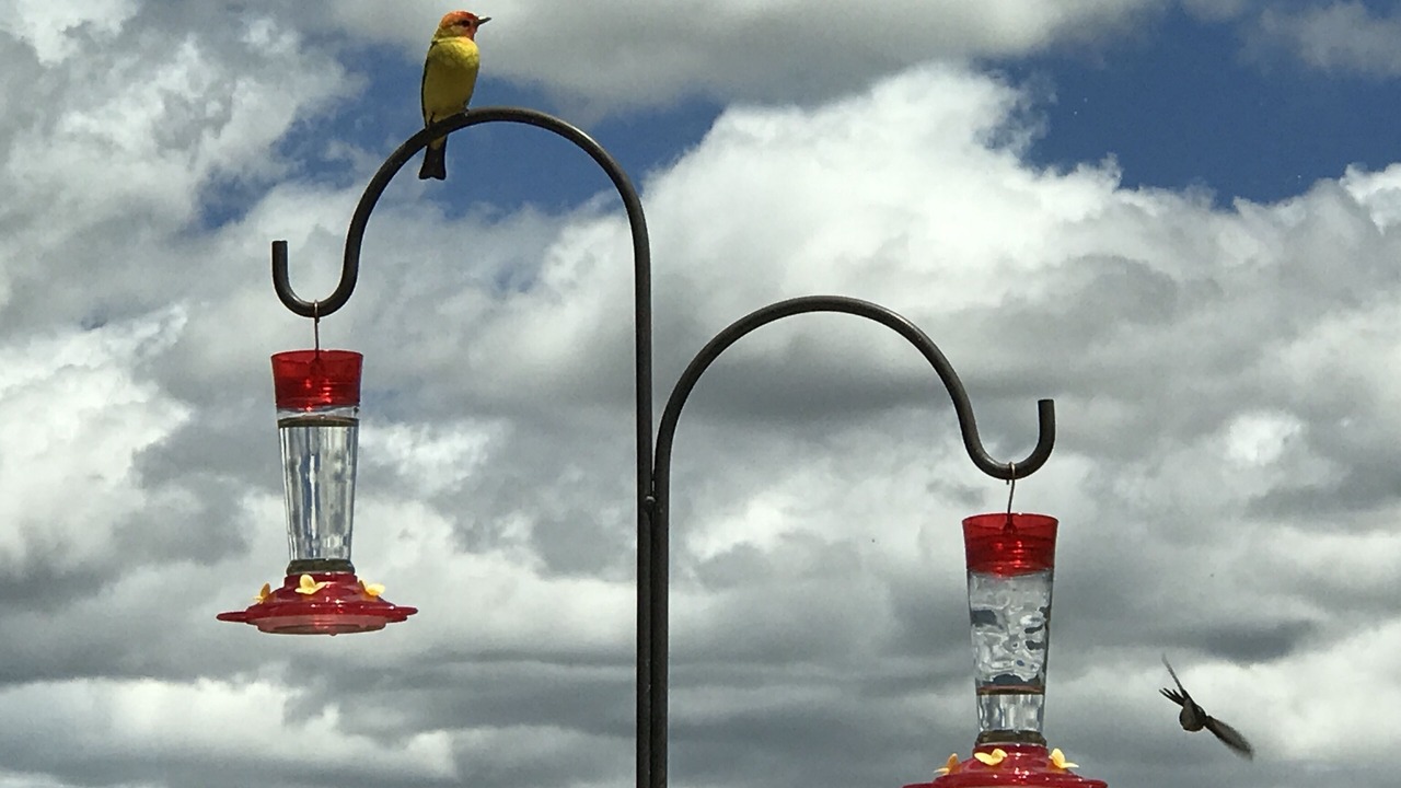 Photo of Others in Taos