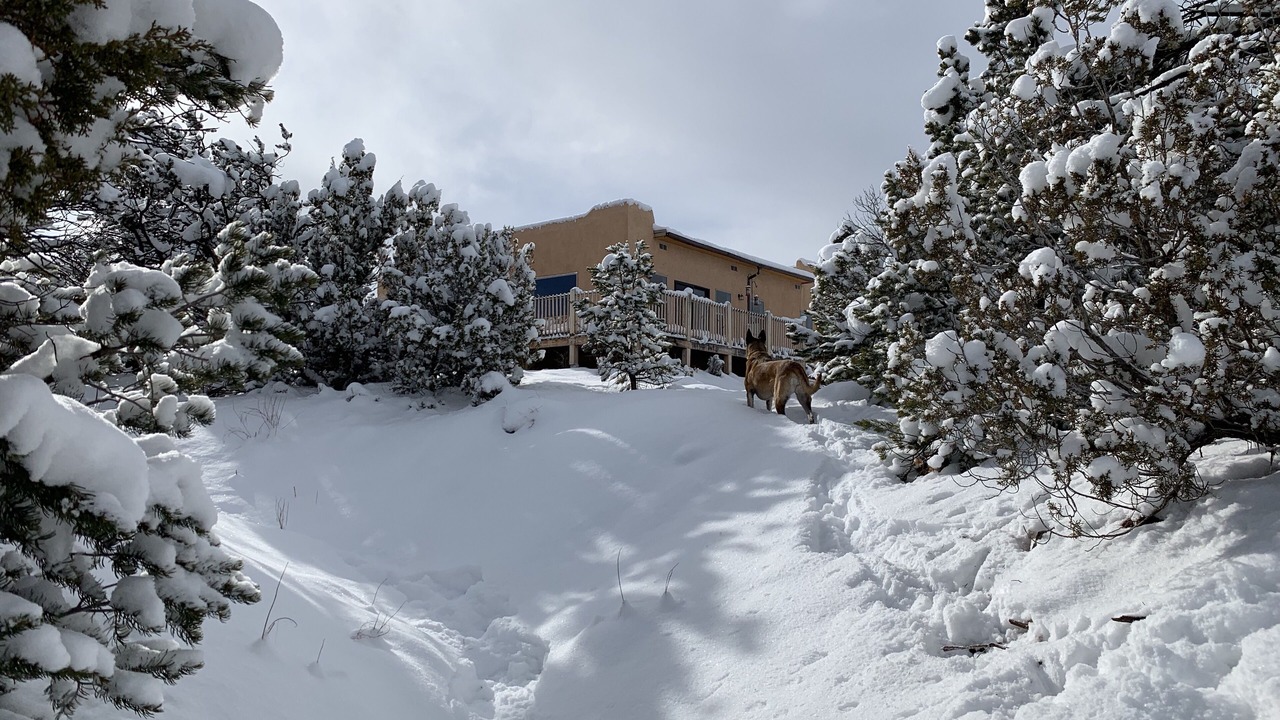 Photo of Outdoor in Taos