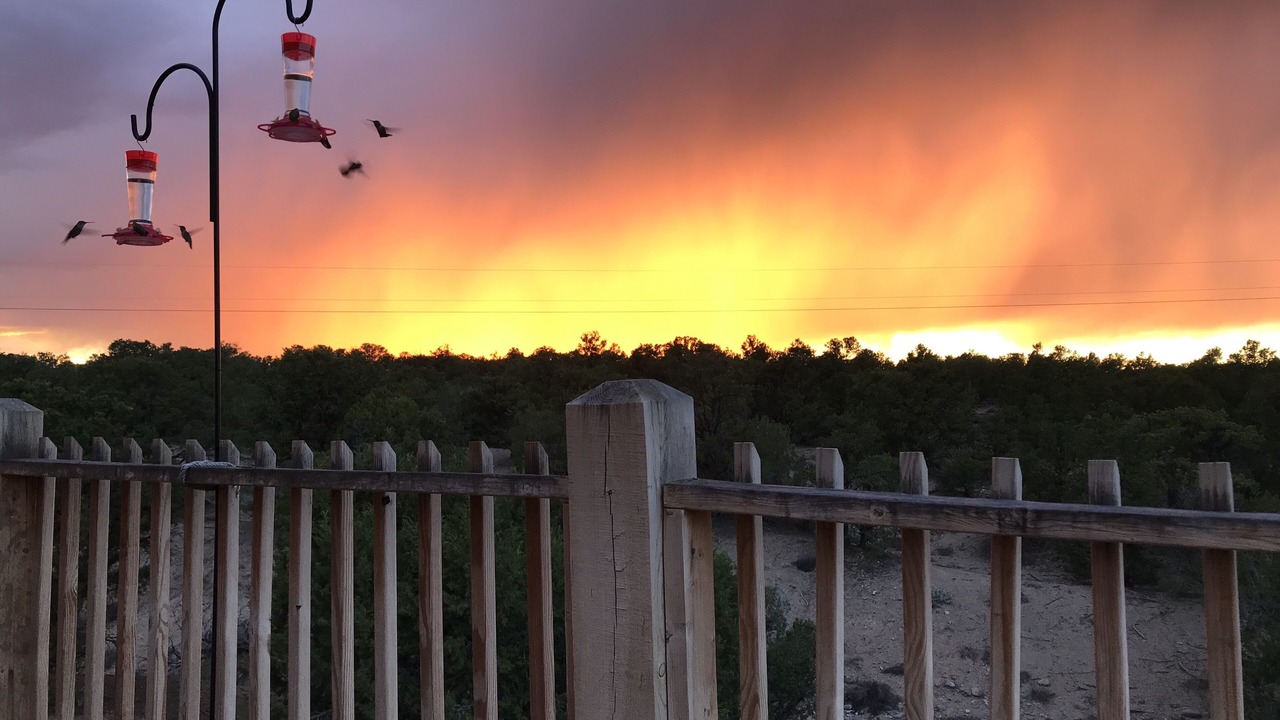 Photo of Outdoor in Taos