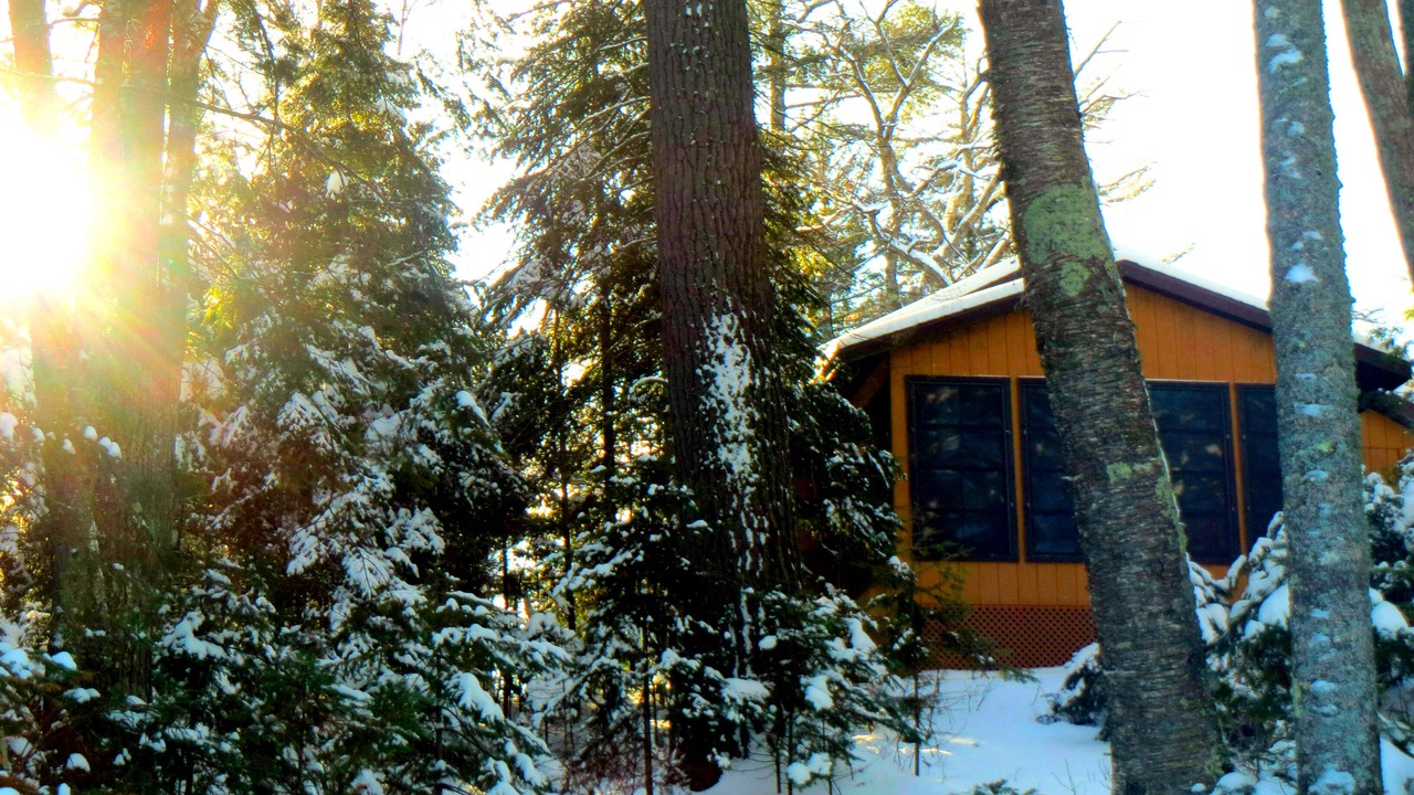 Photo of Others in Presque Isle
