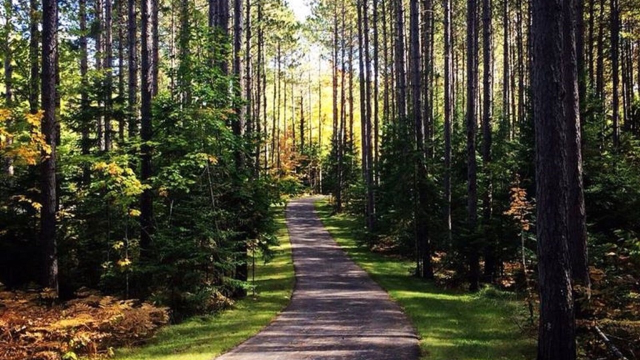 Photo of Others in Presque Isle