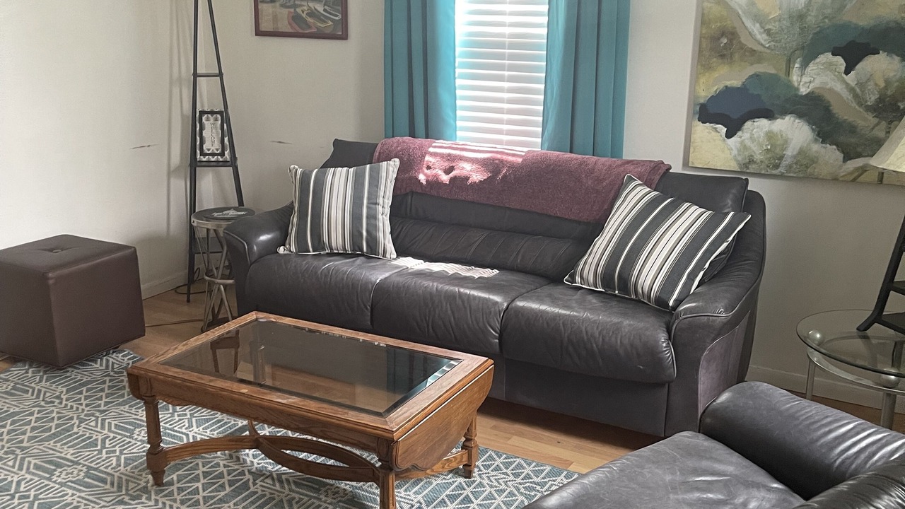 Photo of Livingroom in St. Paul