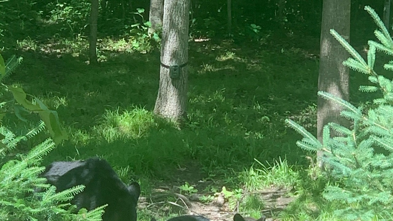 Photo of Outdoor in Ladysmith