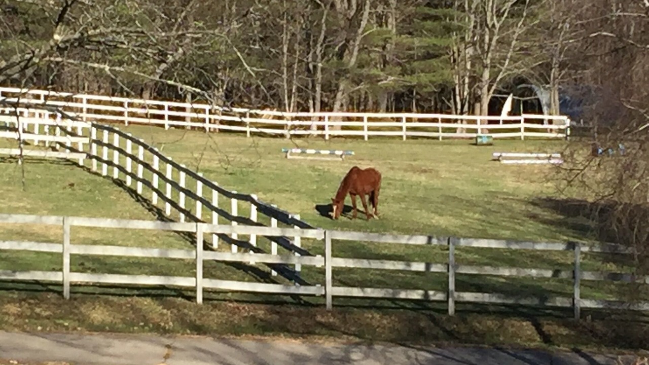 Photo of Others in Intervale