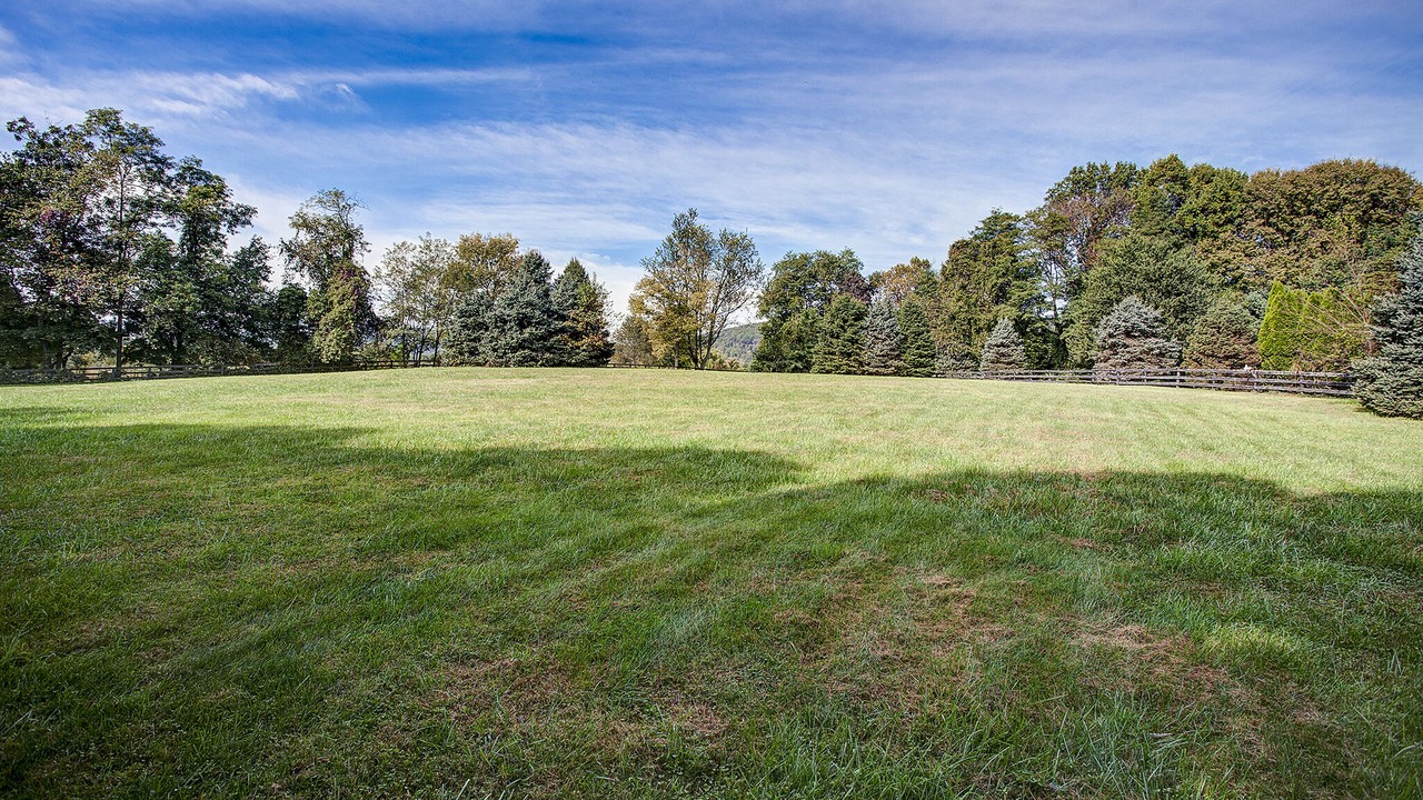 Photo of Others in Round Hill