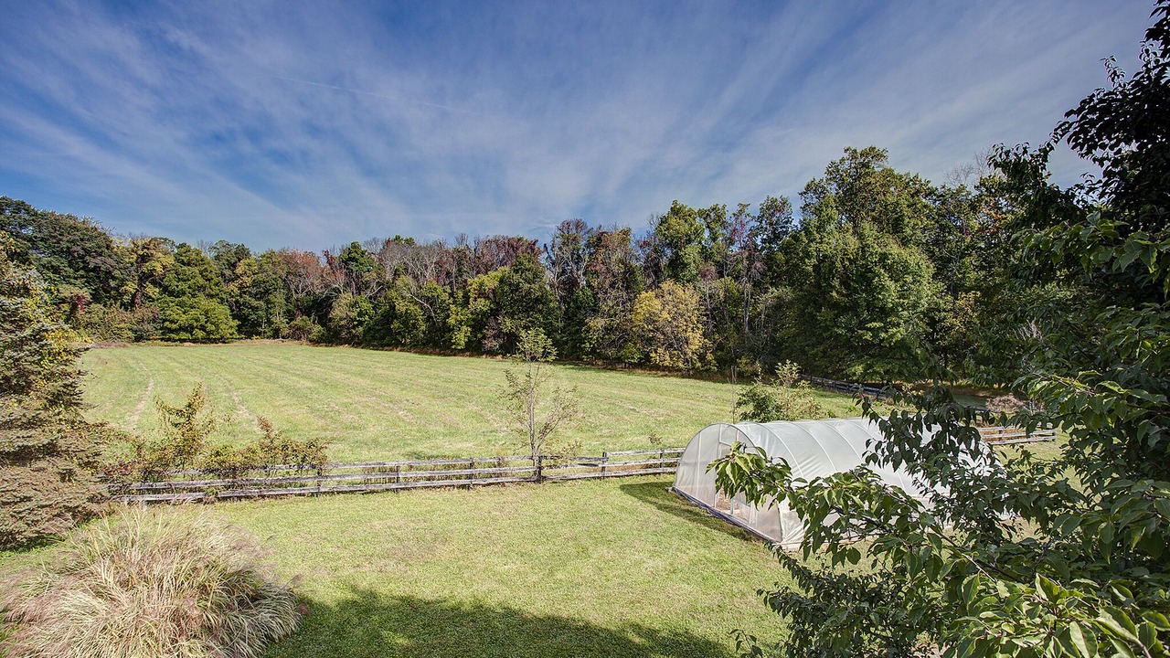 Photo of Outdoor in Round Hill