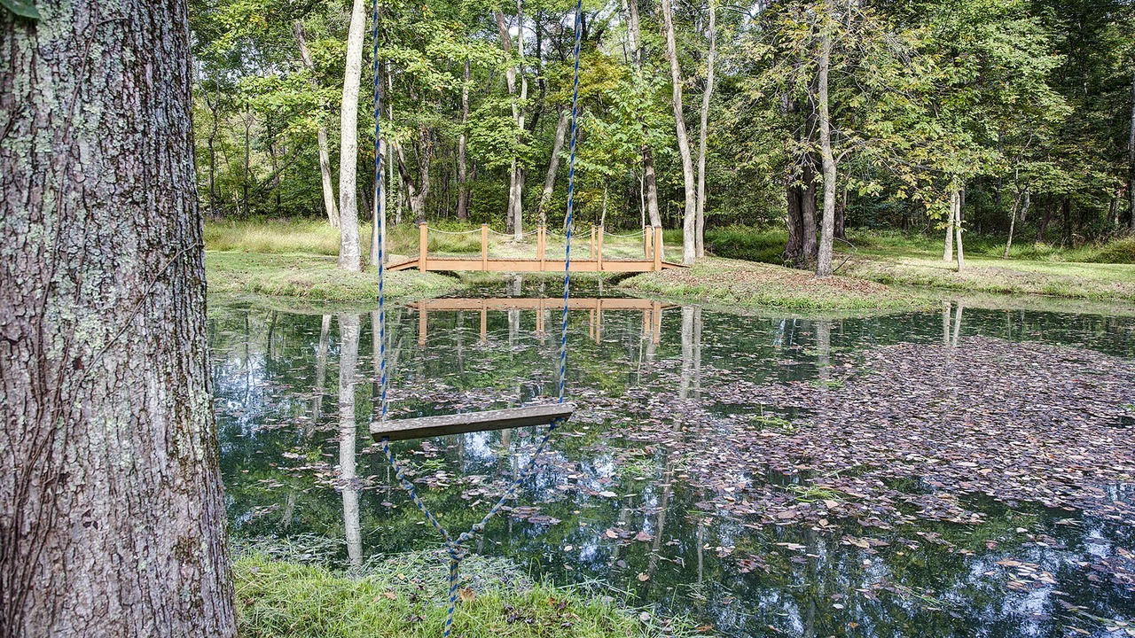 Photo of Outdoor in Round Hill