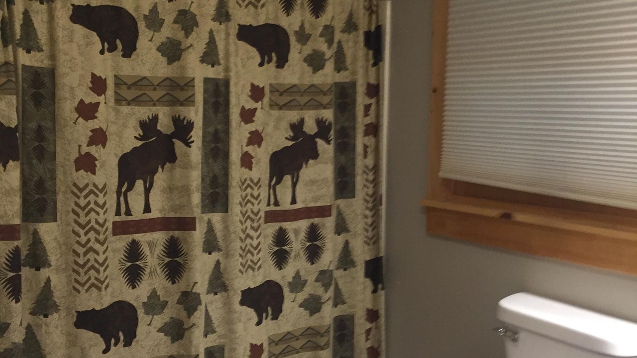 Photo of Bathroom in Luck