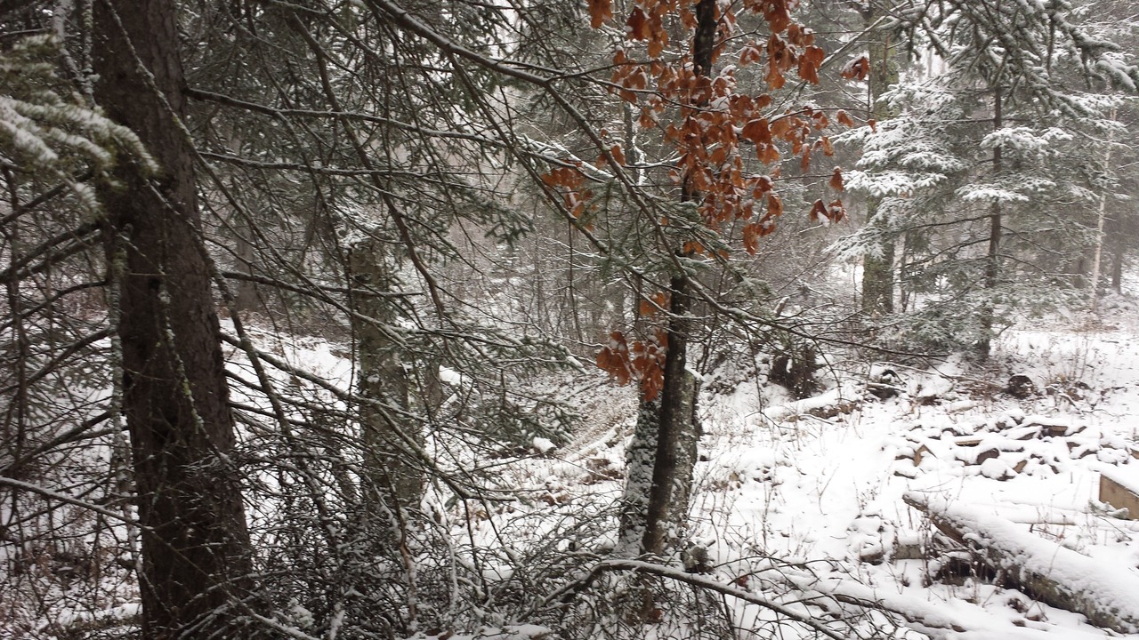 Photo of Others in Lutsen