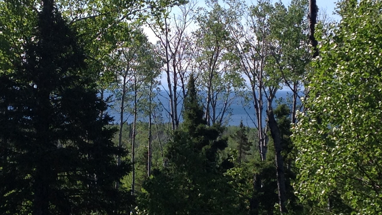 Photo of Outdoor in Lutsen