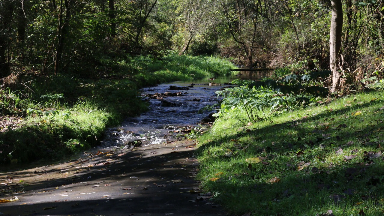 Photo of Outdoor in Winona