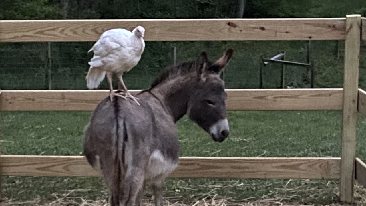 Photo of Others in Lexington