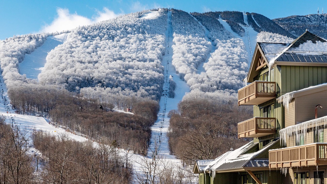 Photo of Outdoor in Stowe Area