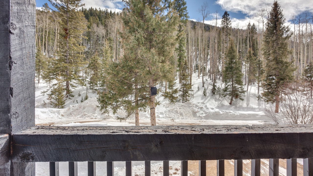 Photo of Outdoor in Taos Ski Valley