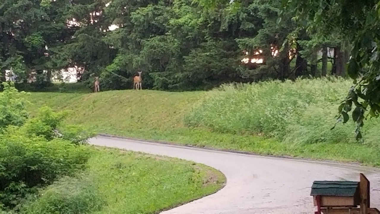 Photo of Outdoor in Pepin