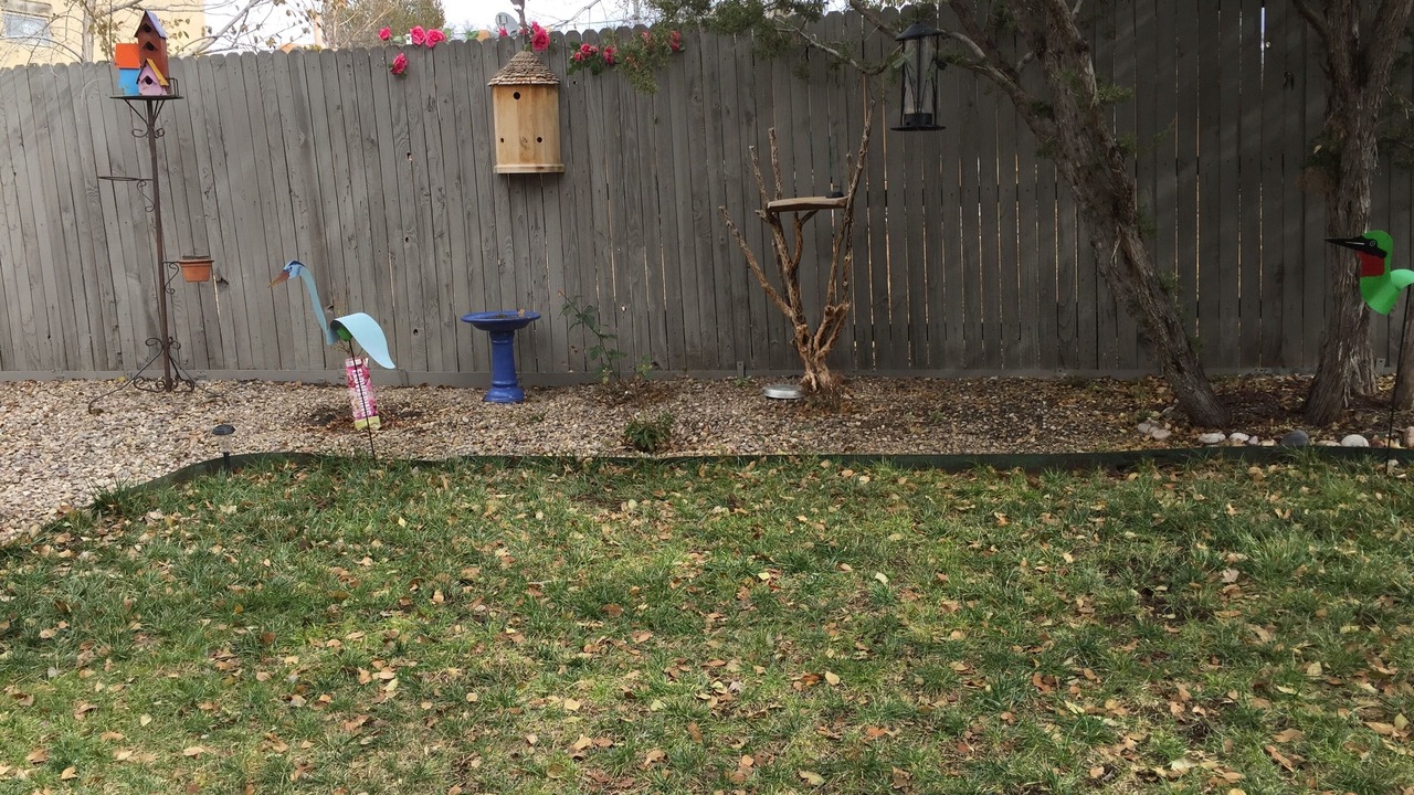 Photo of Outdoor in Santa Fe