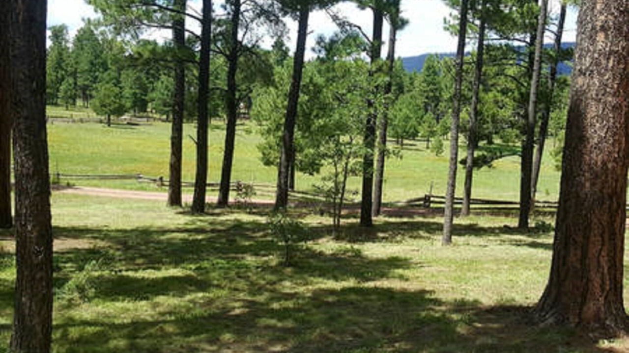 Photo of Others in Alpine