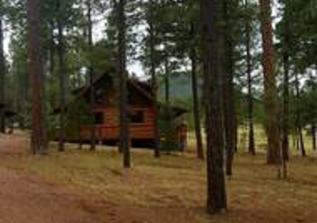 Photo of Others in Alpine