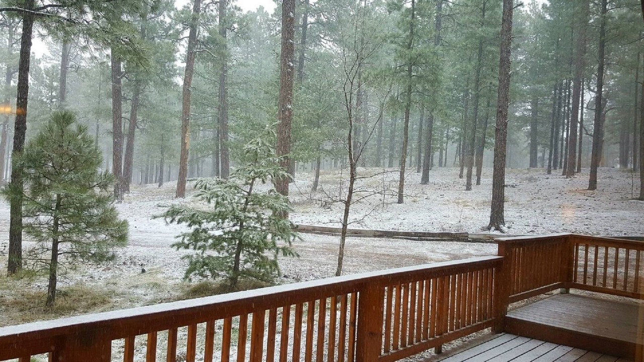 Photo of Others in Alpine