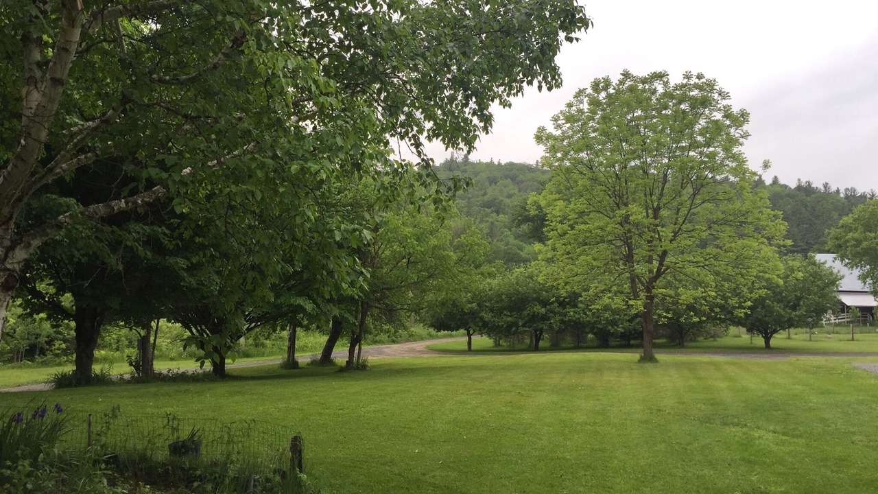 Photo of Outdoor in Upper Jay