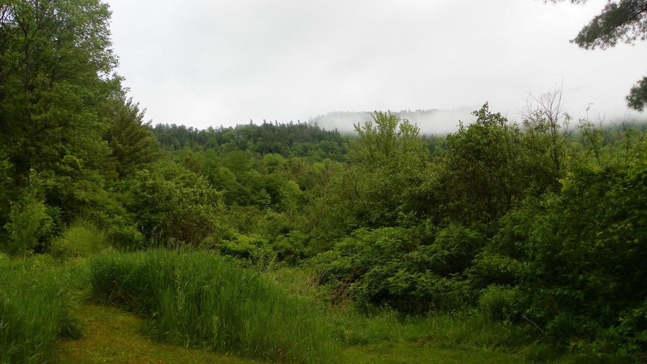 Photo of Outdoor in Upper Jay