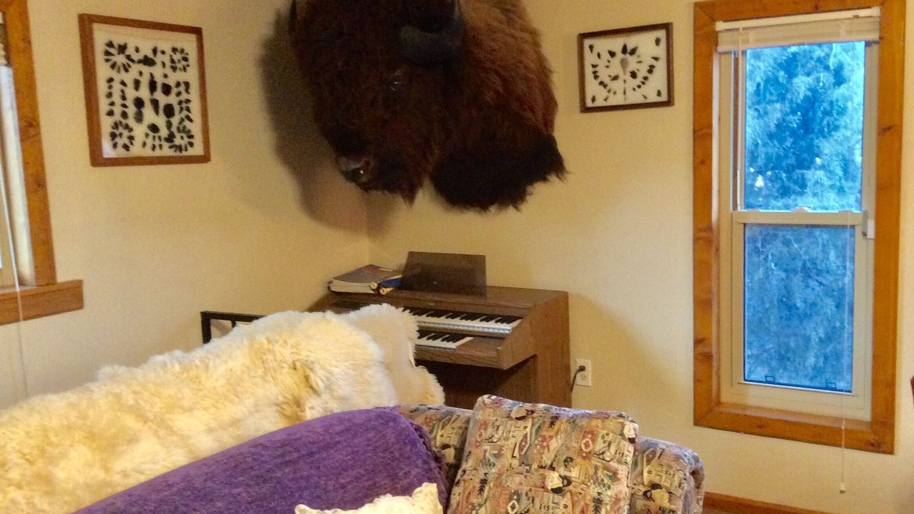 Photo of Bedroom in Trampas