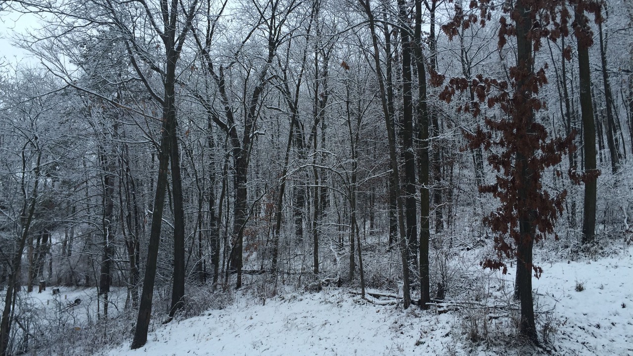 Photo of Others in Minneiska