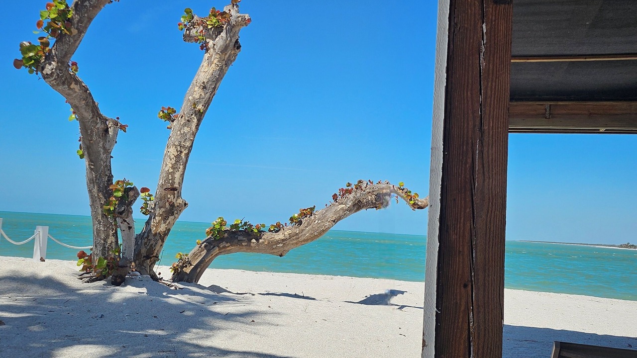 Photo of Others in North Captiva