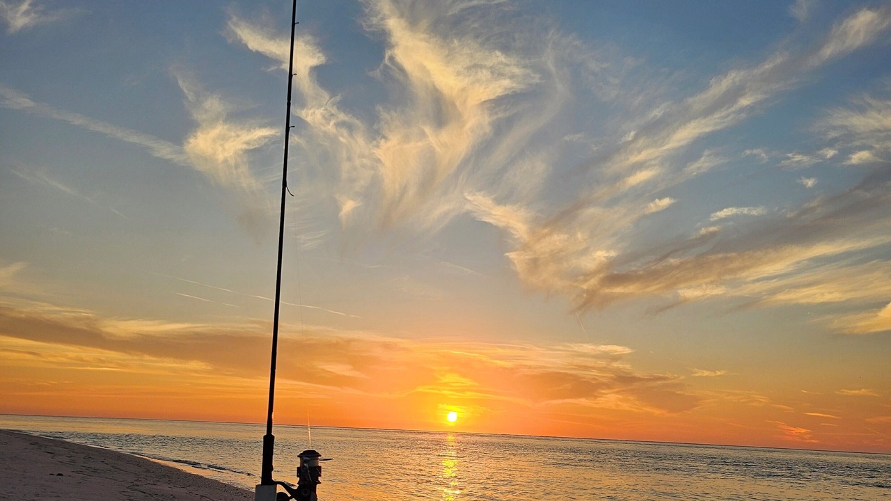Photo of Others in North Captiva